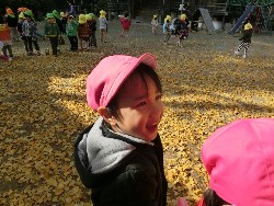 11��28���@�쐼��񂰁@�ˊO������_19