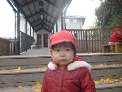 11��28���@����ۂہ@�ˊO�V��_1