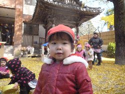 11��28���@����ۂہ@�ˊO�V��_7