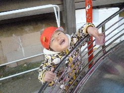 11��28���@����ۂہ@�ˊO�V��_9