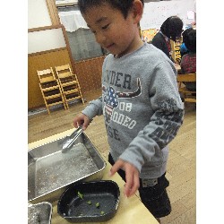 11��29���@�Ђ܂��@�Ȃ��悵���H_24