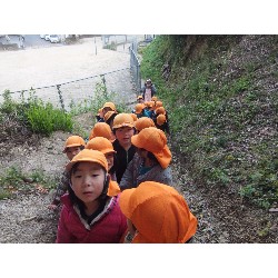 11��29���@�Ђ܂��@�T��_1