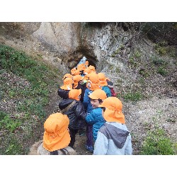 11��29���@�Ђ܂��@�T��_2