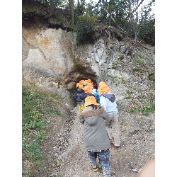 11��29���@�Ђ܂��@�T��_3