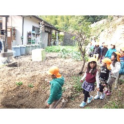 11��29���@�Ђ܂��@�T��_5