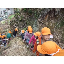 11��29���@�Ђ܂��@�T��_8