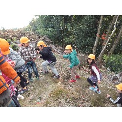 11��29���@�Ђ܂��@�T��_10