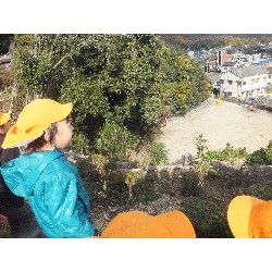 11��29���@�Ђ܂��@�T��_11