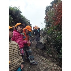 11��29���@�Ђ܂��@�T��_17