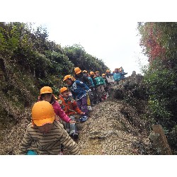 11��29���@�Ђ܂��@�T��_18