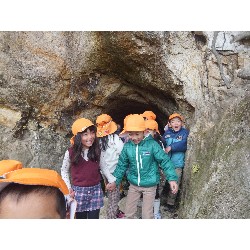 11��29���@�Ђ܂��@�T��_19