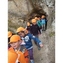 11��29���@�Ђ܂��@�T��_21