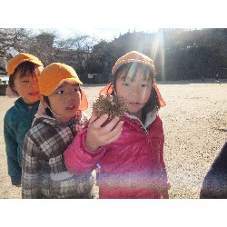 11��29���@�Ђ܂��@�T��_22