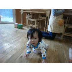 12��5���@�����@���쁕�ˊO�V��_5