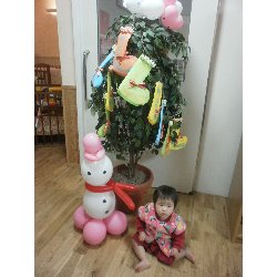 12��20���@�����@�N���X�}�X�L�O_14