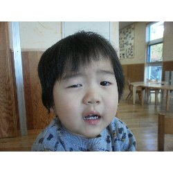 1��7���@��񂰁@�W�I�V�F�C�v�X�ł��܍��_4