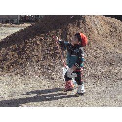 1��10���@����ۂہ@���������V��_15