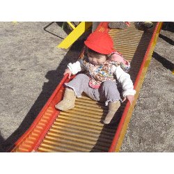 1��10���@����ۂہ@���������V��_17