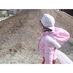 1��10���@����ۂہ@���������V��_25