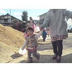 1��10���@����ۂہ@���������V��_32