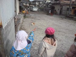 1��14���@����ۂہ@���{���̓�_18