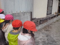 1��14���@����ۂہ@���{���̓�_19