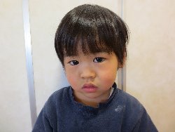 1��15���@��񂰁@�����V��_1