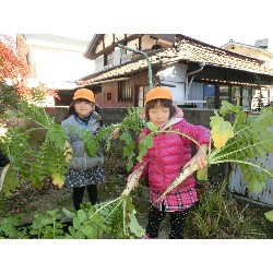 1��16���@�Ђ܂��@�卪�@��_1