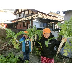 1��16���@�Ђ܂��@�卪�@��_2