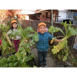 1��16���@�Ђ܂��@�卪�@��_4