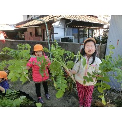 1��16���@�Ђ܂��@�卪�@��_5