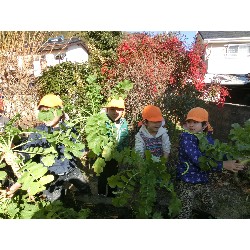 1��16���@�Ђ܂��@�卪�@��_6