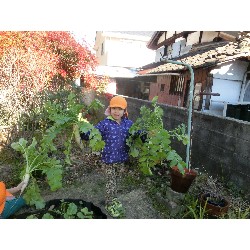 1��16���@�Ђ܂��@�卪�@��_7