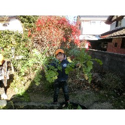 1��16���@�Ђ܂��@�卪�@��_10