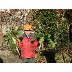 1��16���@�Ђ܂��@�卪�@��_17