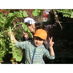 1��16���@�Ђ܂��@�卪�@��_19