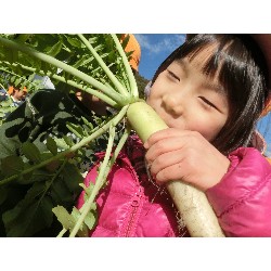 1��16���@�Ђ܂��@�卪�@��_30