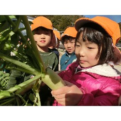 1��16���@�Ђ܂��@�卪�@��_31