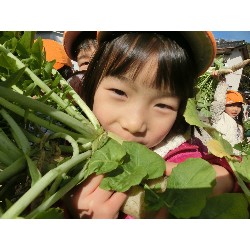 1��16���@�Ђ܂��@�卪�@��_32