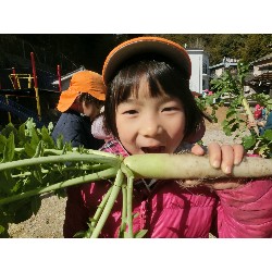 1��16���@�Ђ܂��@�卪�@��_33