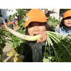 1��16���@�Ђ܂��@�卪�@��_34