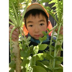 1��16���@�Ђ܂��@�卪�@��_35