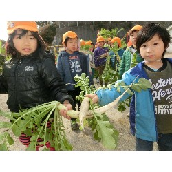 1��16���@�Ђ܂��@�卪�@��_36