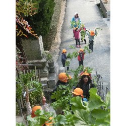 1��16���@�Ђ܂��@�卪�@��_39