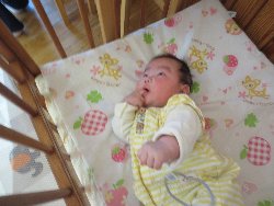 1��16���@�����@�V�[���\��V��_1