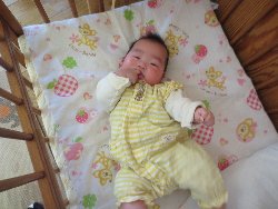 1��16���@�����@�V�[���\��V��_2