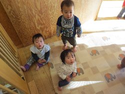 1��16���@�����@�V�[���\��V��_5