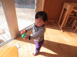 1��16���@�����@�V�[���\��V��_8