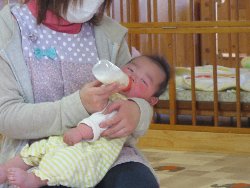 1��16���@�����@�V�[���\��V��_40