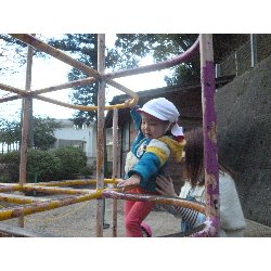 1��16���@����ۂہ@���{���̓�_13